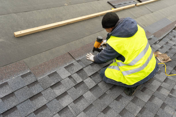 Best Roof Gutter Cleaning  in Warsaw, VA