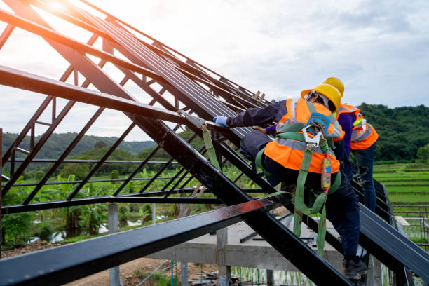 Best Roof Gutter Cleaning  in Warsaw, VA