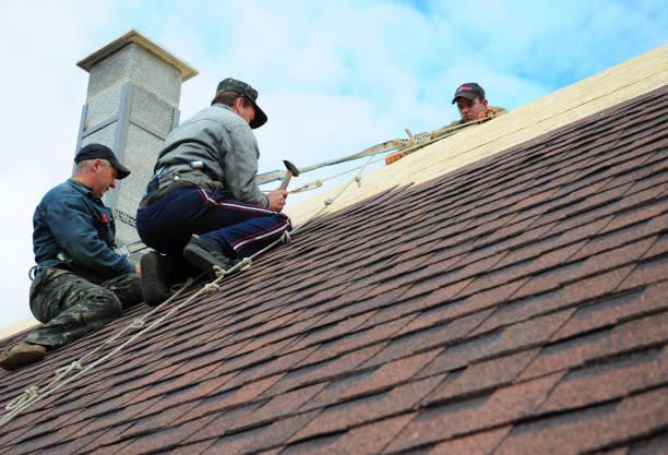 Best Residential Roofing Contractor  in Warsaw, VA