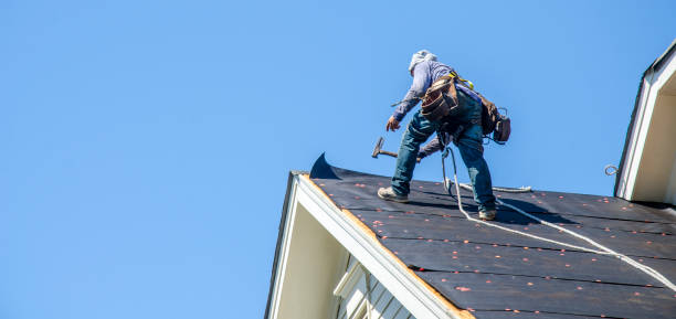 Best Storm Damage Roof Repair  in Warsaw, VA